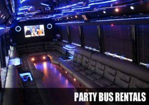 Bachelor Party Bus in Fort Myers