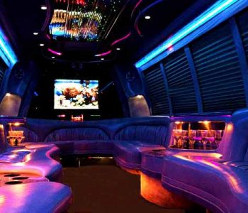 18 passenger party bus rental Boca Grande