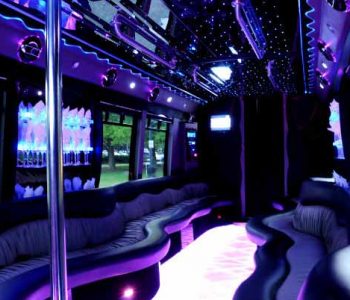 22 people party bus limo Punta Rassa