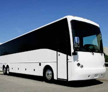 40 Passenger  party bus Ave Maria