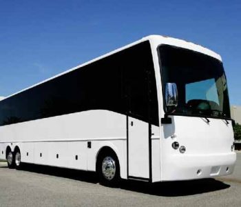 40 Passenger  party bus Naples