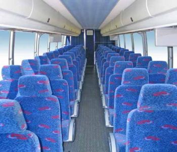 50 passenger Party bus Suncoast Estates